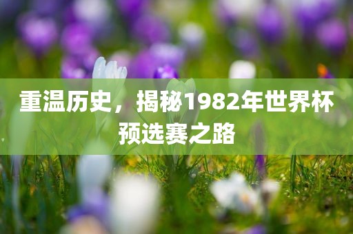 重温历史，揭秘1982年世界杯预选赛之路
