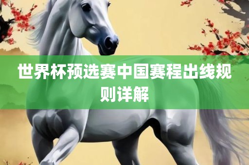 世界杯预选赛中国赛程出线规则详解