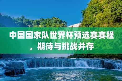 中国国家队世界杯预选赛赛程，期待与挑战并存