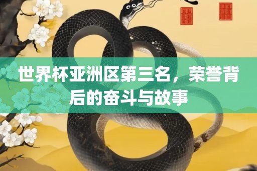 世界杯亚洲区第三名，荣誉背后的奋斗与故事