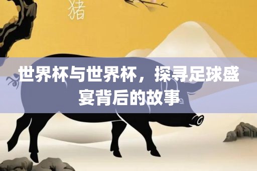 世界杯与世界杯，探寻足球盛宴背后的故事