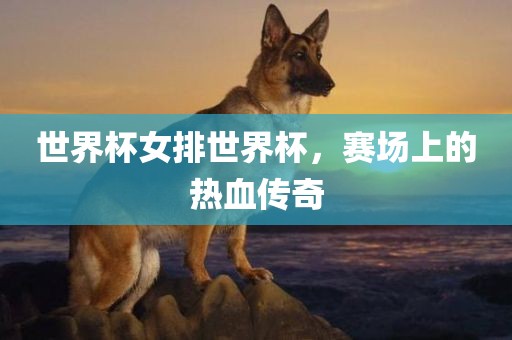 世界杯女排世界杯，赛场上的热血传奇