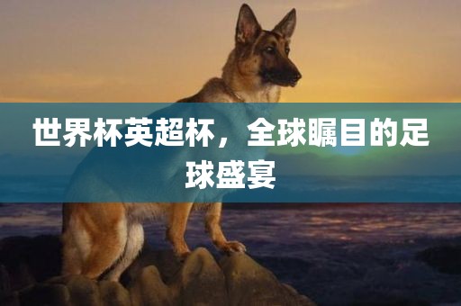 世界杯英超杯，全球瞩目的足球盛宴
