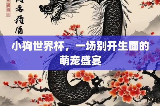 小狗世界杯，一场别开生面的萌宠盛宴