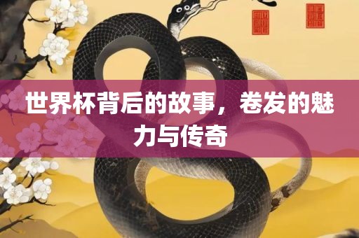 世界杯背后的故事，卷发的魅力与传奇