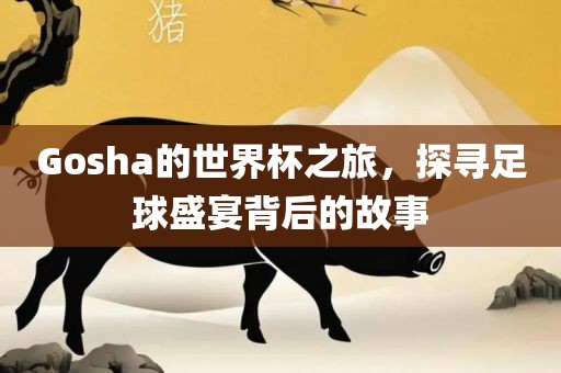 Gosha的世界杯之旅，探寻足球盛宴背后的故事
