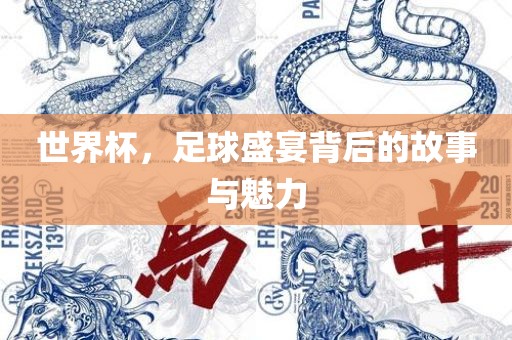 世界杯，足球盛宴背后的故事与魅力