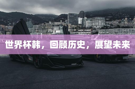 世界杯韩，回顾历史，展望未来