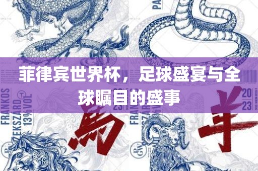 菲律宾世界杯，足球盛宴与全球瞩目的盛事