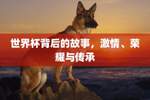 世界杯背后的故事，激情、荣耀与传承