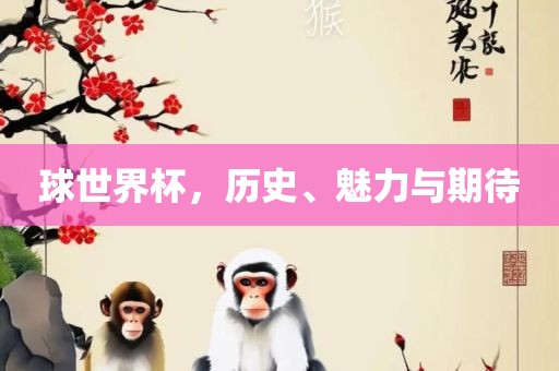 球世界杯，历史、魅力与期待