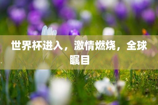 世界杯进入，激情燃烧，全球瞩目