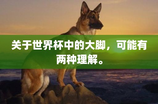 关于世界杯中的大脚，可能有两种理解。