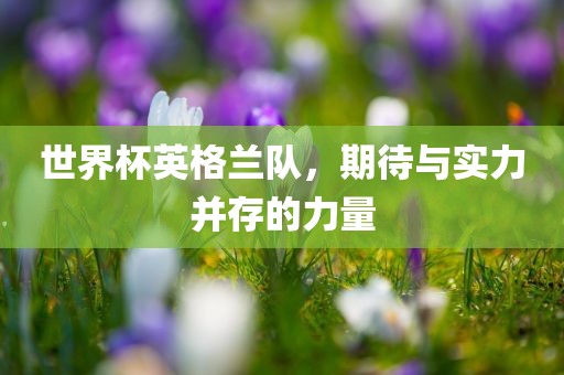 世界杯英格兰队，期待与实力并存的力量