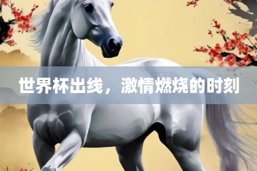 世界杯出线，激情燃烧的时刻