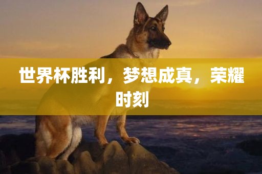 世界杯胜利，梦想成真，荣耀时刻