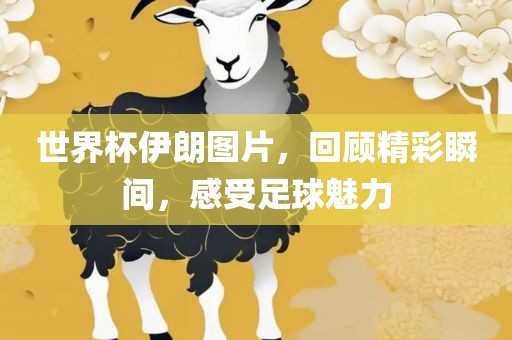 世界杯伊朗图片，回顾精彩瞬间，感受足球魅力