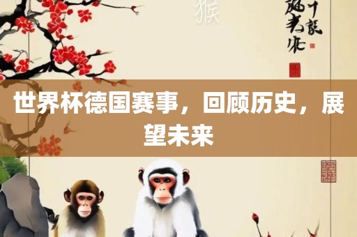 世界杯德国赛事，回顾历史，展望未来
