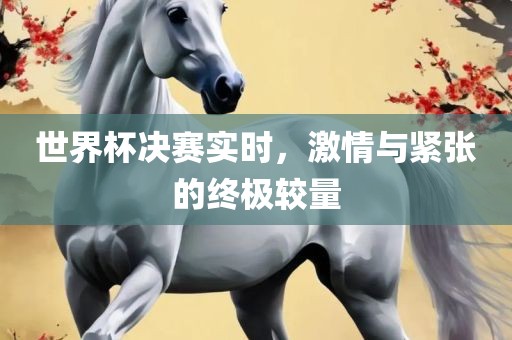 世界杯决赛实时，激情与紧张的终极较量广州鸿业环保设备有限公司