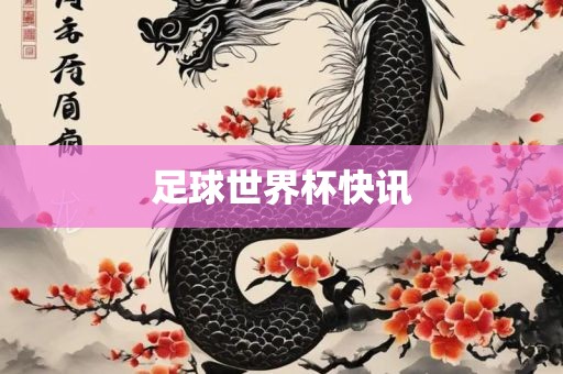 足球世界杯快讯