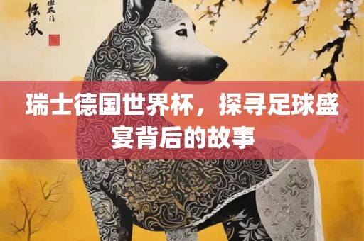 瑞士德国世界杯，探寻足球盛宴背后的故事