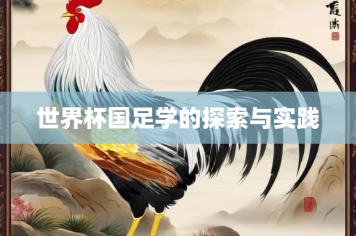 世界杯国足学的探索与实践