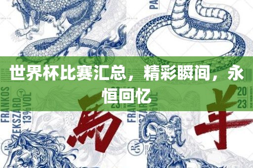 世界杯比赛汇总，精彩瞬间，永恒回忆