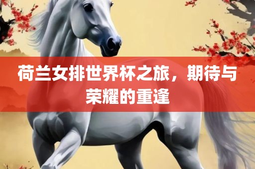 荷兰女排世界杯之旅，期待与荣耀的重逢