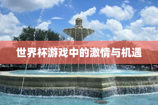 世界杯游戏中的激情与机遇