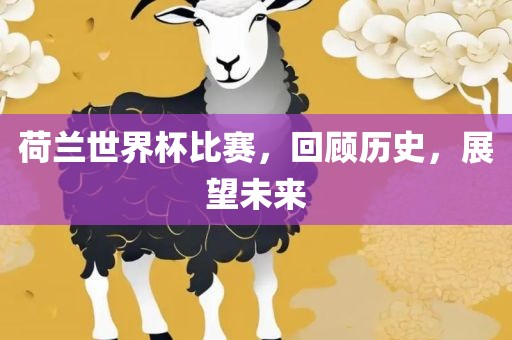 荷兰世界杯比赛，回顾历史，展望未来