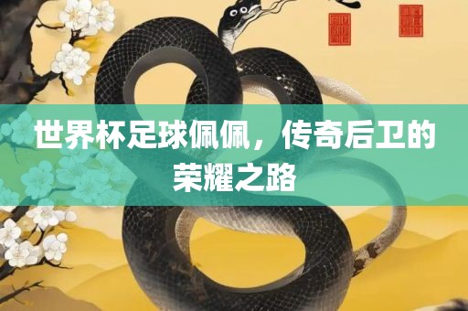 世界杯足球佩佩，传奇后卫的荣耀之路