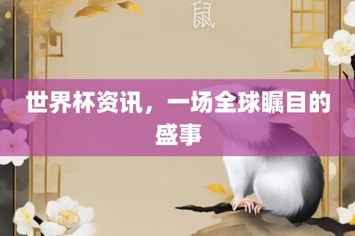 世界杯资讯，一场全球瞩目的盛事