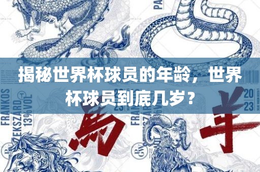 揭秘世界杯球员的年龄，世界杯球员到底几岁？