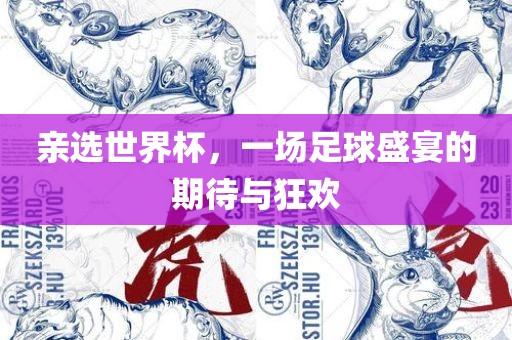 亲选世界杯，一场足球盛宴的期待与狂欢