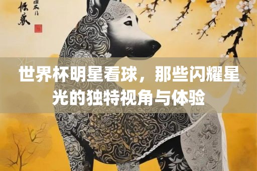 世界杯明星看球，那些闪耀星光的独特视角与体验
