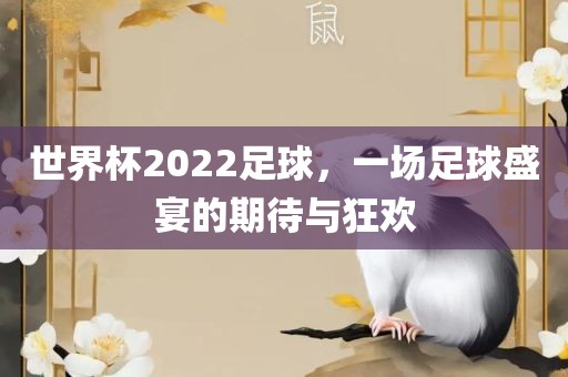 世界杯2022足球，一场足球盛宴的期待与狂欢