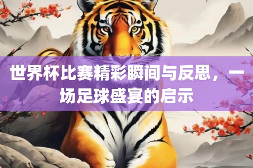 世界杯比赛精彩瞬间与反思，一场足球盛宴的启示