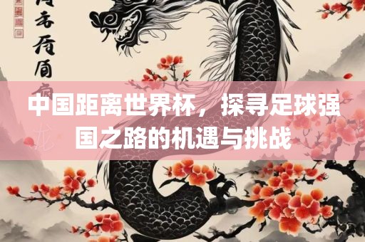 中国距离世界杯，探寻足球强国之路的机遇与挑战