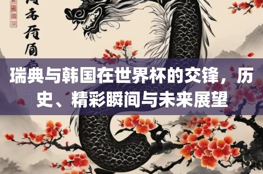 瑞典与韩国在世界杯的交锋，历史、精彩瞬间与未来展望