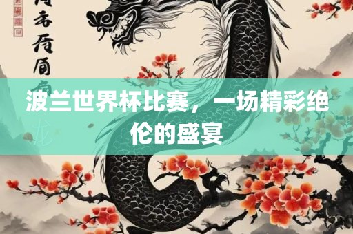 波兰世界杯比赛，一场精彩绝伦的盛宴