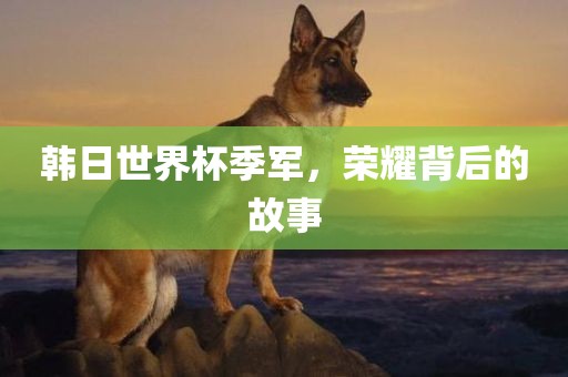 韩日世界杯季军，荣耀背后的故事