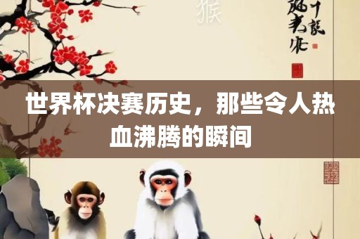 世界杯决赛历史，那些令人热血沸腾的瞬间广州鸿业环保设备有限公司