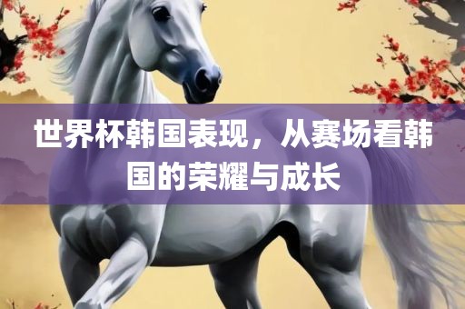 世界杯韩国表现，从赛场看韩国的荣耀与成长