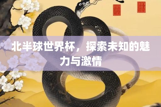 北半球世界杯，探索未知的魅力与激情