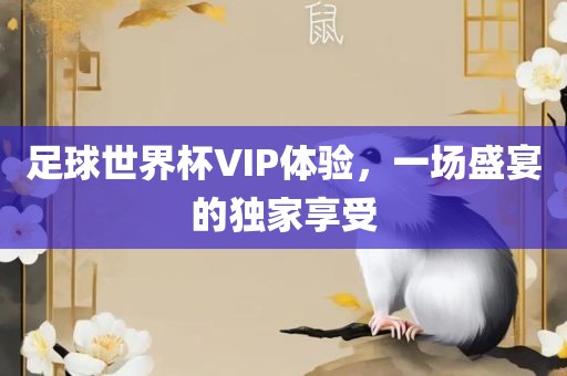 足球世界杯VIP体验，一场盛宴的独家享受