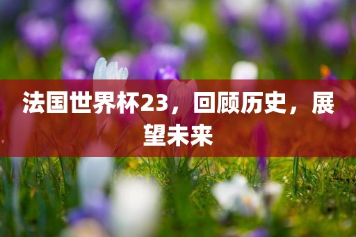 法国世界杯23，回顾历史，展望未来