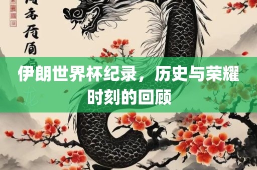伊朗世界杯纪录，历史与荣耀时刻的回顾