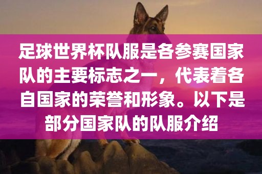 足球世界杯队服是各参赛国家队的主要标志之一，代表着各自国家的荣誉和形象。以下是部分国家队的队服介绍