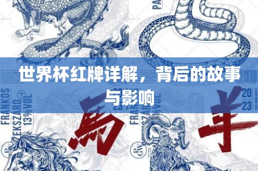 世界杯红牌详解，背后的故事与影响