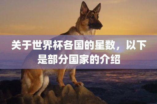 关于世界杯各国的星数，以下是部分国家的介绍